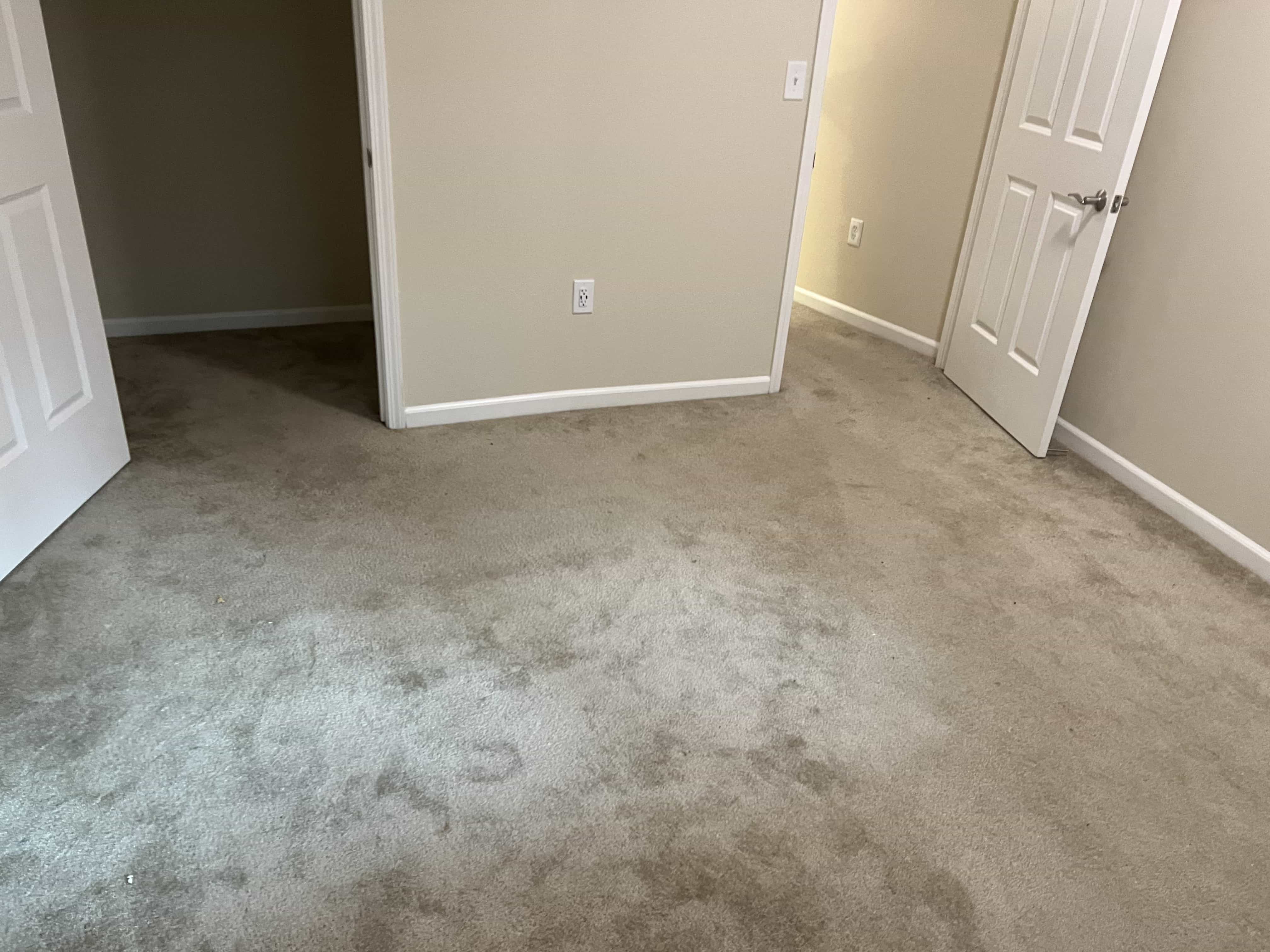 images/db/carpet_demo-0001.jpg